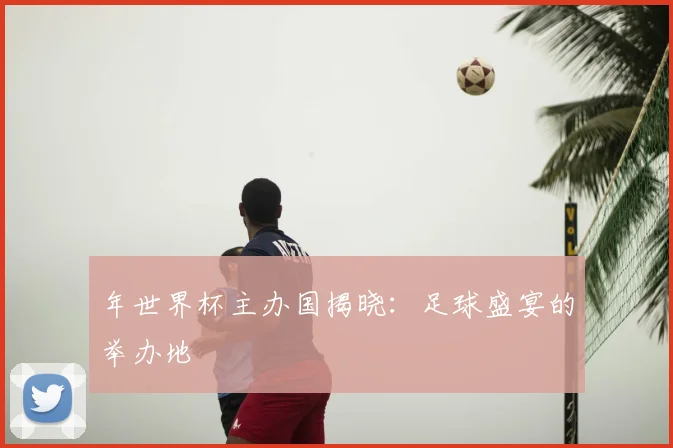 年世界杯主办国揭晓:足球盛宴的举办地