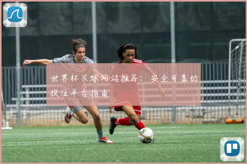 世界杯买球网站推荐：安全可靠的投注平台指南